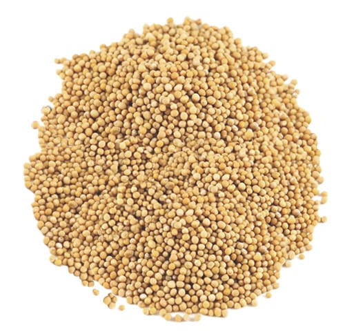 zdjecie_kolko_Gorczyca bia.jpg