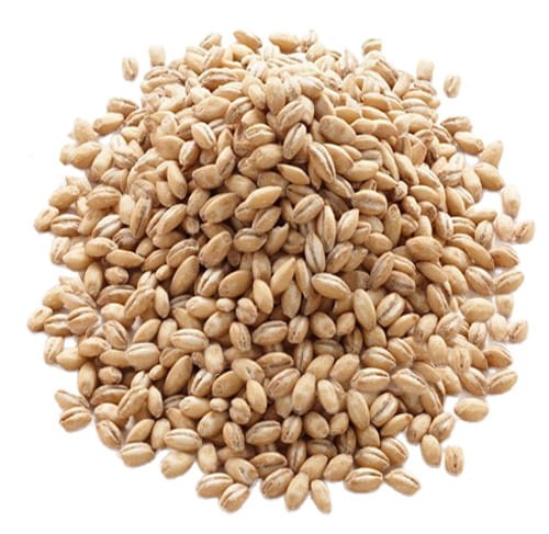 zdjecie_kolko_Kasza pęczak.jpg