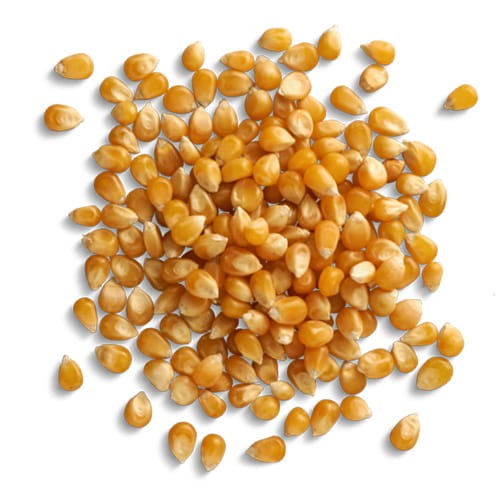 zdjecie_kolko_Kukur popcor.jpg