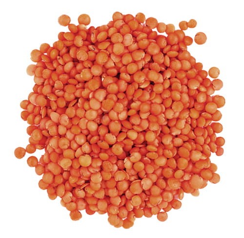 zdjecie_kolko_Soczewica cz.jpg