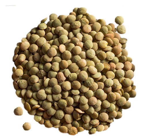 zdjecie_kolko_Soczewica zi.jpg