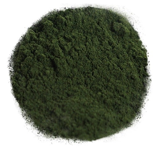 zdjecie_kolko_Chlorella pr.jpg