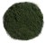 zdjecie_kolko_Chlorella pr.jpg