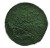 zdjecie_kolko_Spirulina pr.jpg