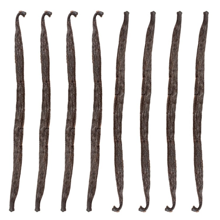 8szt_Wanilia lask.jpg