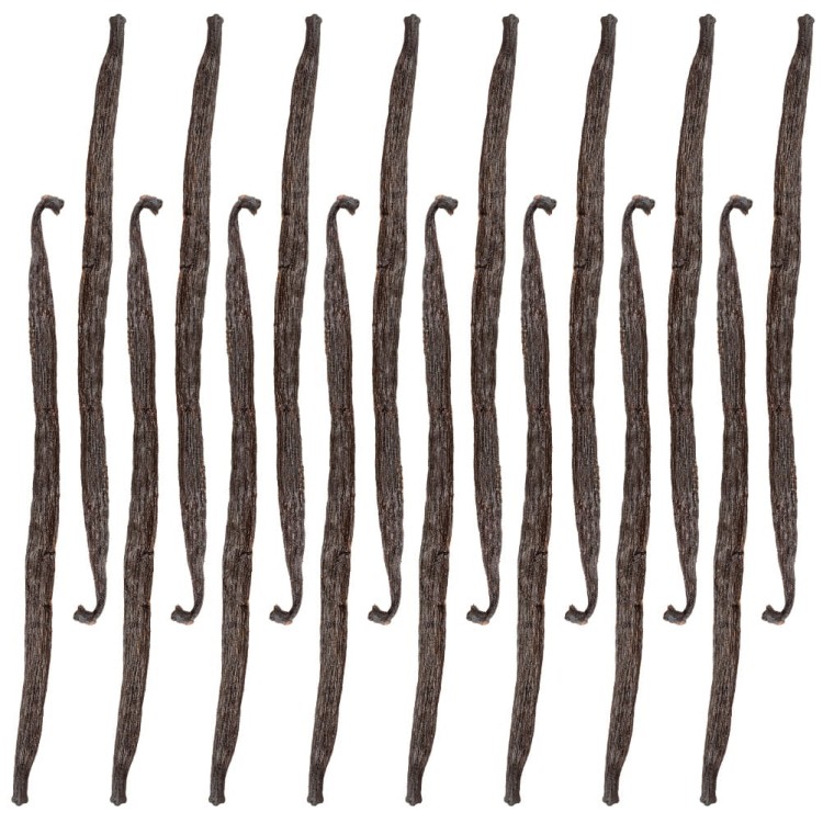 16szt_Wanilia lask.jpg