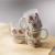 Mug_Mockup_3.jpg