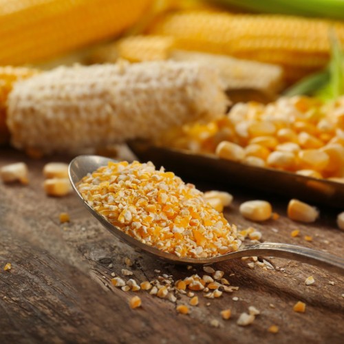 KASZA KUKURYDZIANA 2.jpg