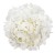 zdjecie_kolko_Chipsy kokos.jpg